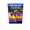 AUSENCIAS. CORAL LAO - Imagen 4