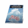 CARTAS AL CIELO TRAS DE MI GRAN AMOR. RAMÓN GARAY DESPUJOL - Imagen 5