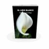 EL LIRIO BLANCO. SELENA MARRERO PLAZA - Imagen 6
