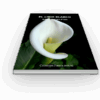 EL LIRIO BLANCO. SELENA MARRERO PLAZA - Imagen 4