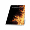 INCENDIOS TEMPRANOS - Pablo Melgares Natoli - Imagen 3