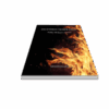 INCENDIOS TEMPRANOS - Pablo Melgares Natoli - Imagen 6