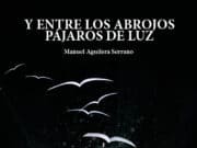 Y entre los abrojos pájaros de luz, de Manuel Aguilera Serrano. El mar que no sobresale de los diques
