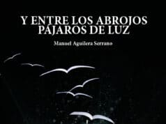 Y entre los abrojos pájaros de luz, de Manuel Aguilera Serrano. El mar que no sobresale de los diques